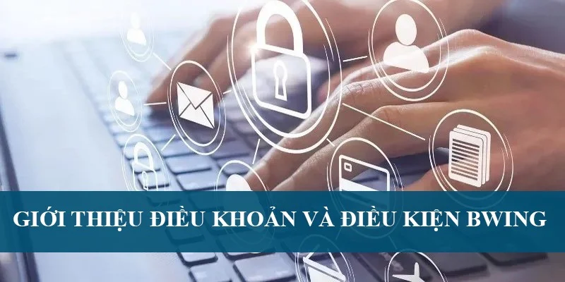 Giới thiệu điều khoản và điều kiện Bwing
