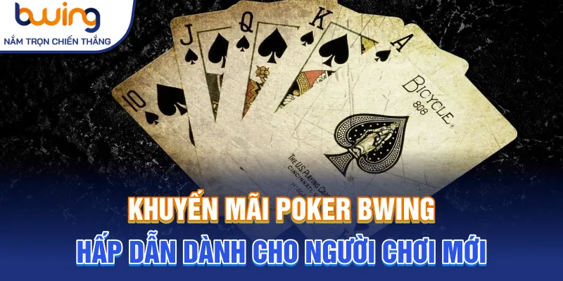 Khuyến mãi hấp dẫn dành cho người chơi mới