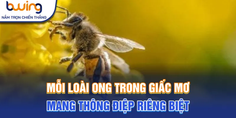 Mỗi loài ong trong giấc mơ mang thông điệp riêng biệt