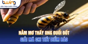nằm mơ thấy ông đuổi đốt