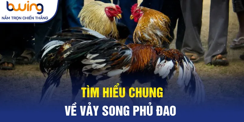 Tìm hiểu chung về vảy Song Phủ Đao