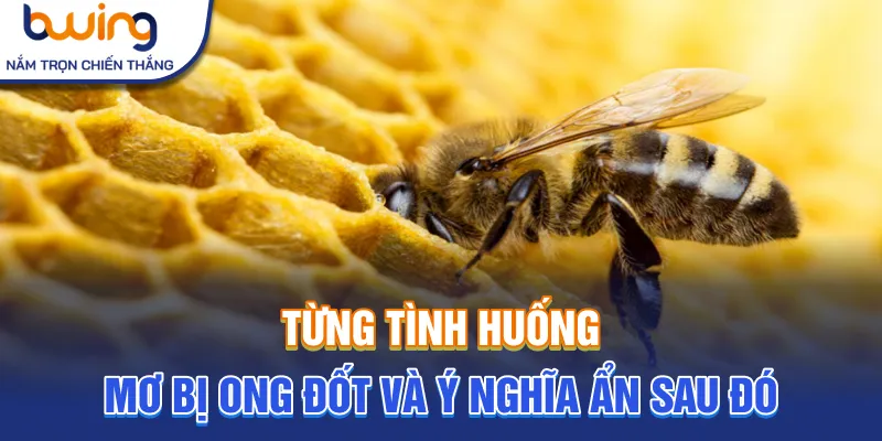 Từng tình huống mơ bị ong đốt và ý nghĩa ẩn sau đó
